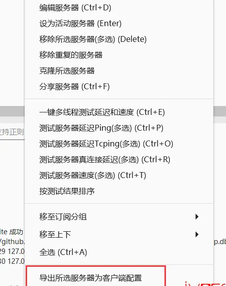 v2rayN 导出 config.json